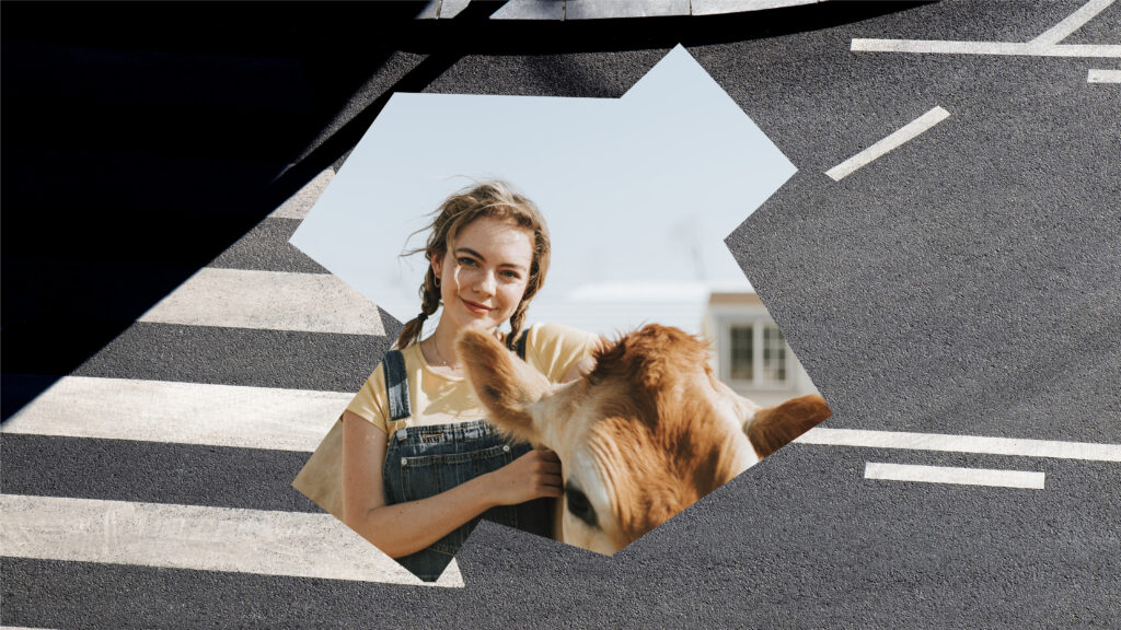 Artboard-1-copy-15-scaled